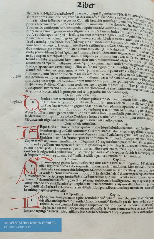 Seitenausschnitt von Plinii Secundi naturae historiarum libri. XXXVII. 1499